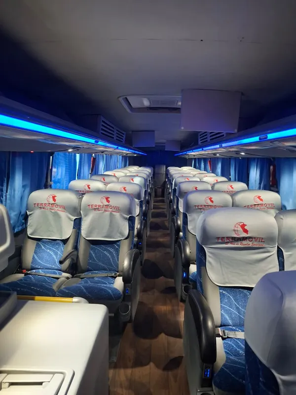 Espacio interno de un bus EcoTerra