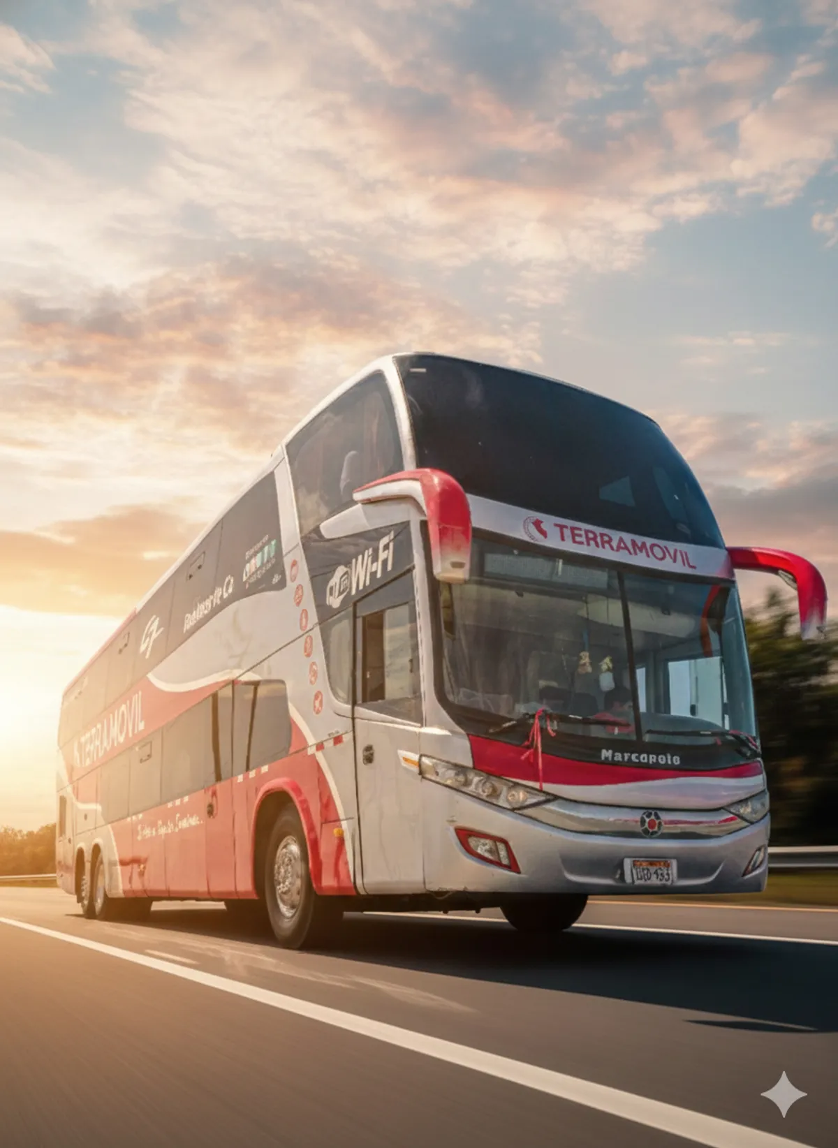 Imagen del bus de Terramovil en la carretera